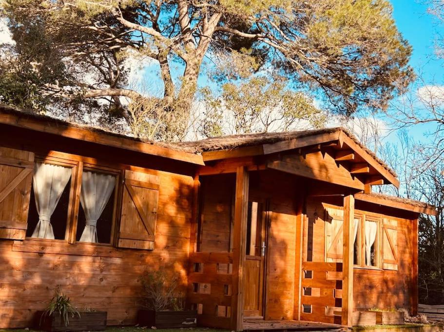 Chalet Bois Jacuzzi Bessan Luaran gambar
